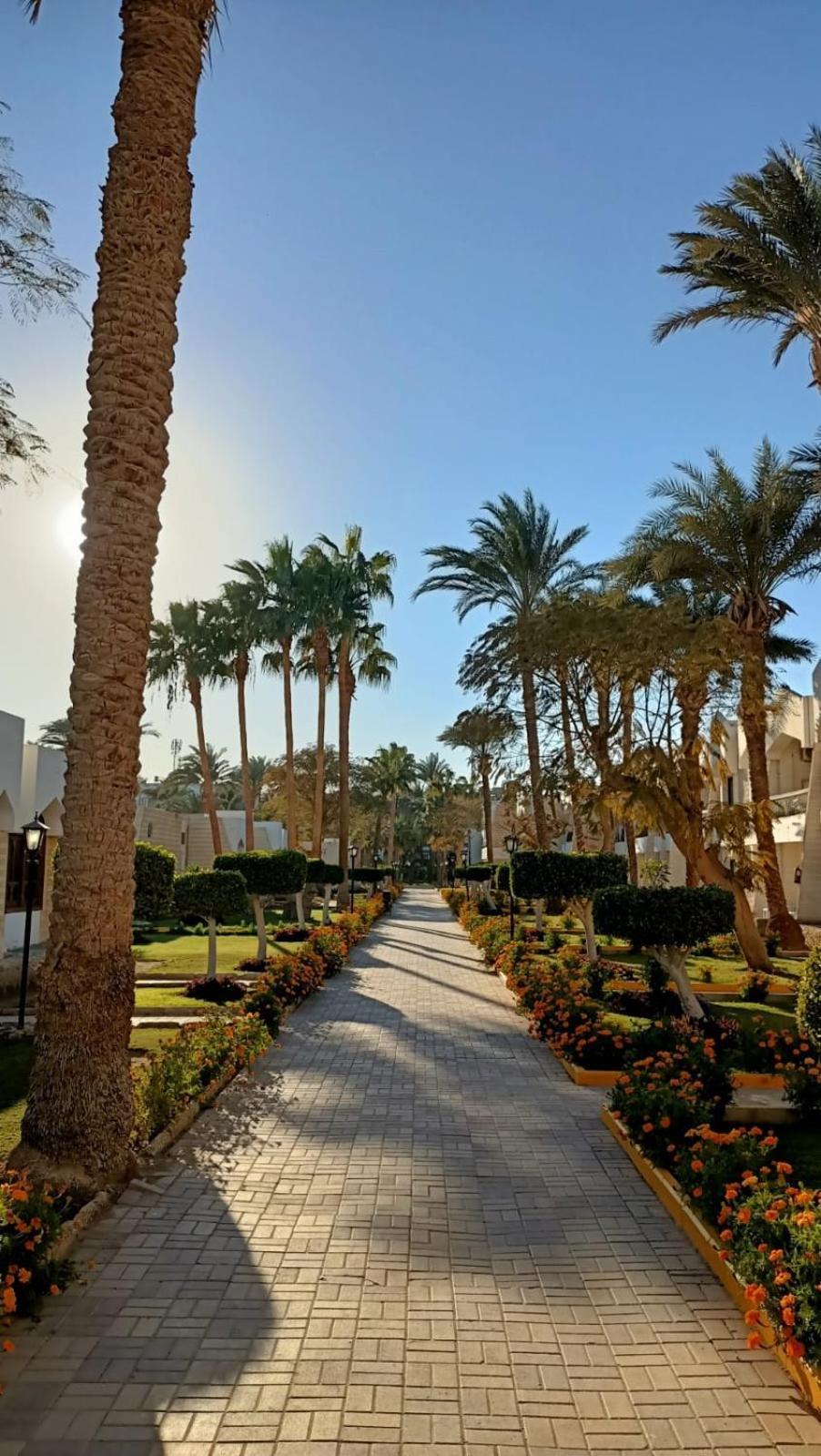 Regina Resort And Aqua Park Hurghada Exterior foto